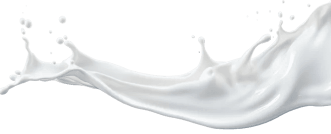 Description of the image